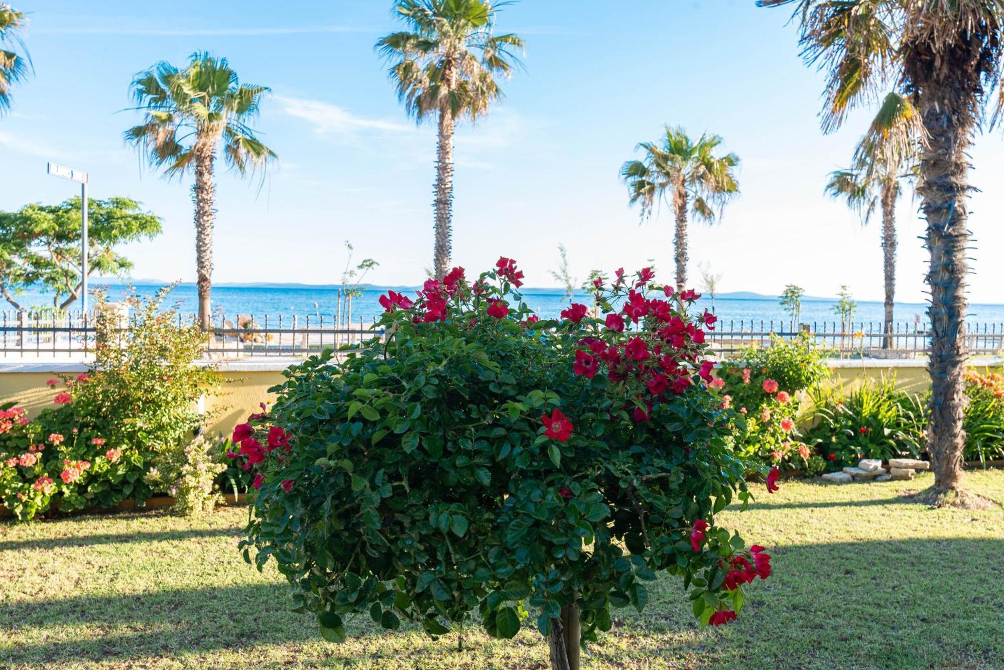 Apartment House Inga Vir Εξωτερικό φωτογραφία